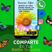 Reflexiones De La Vida