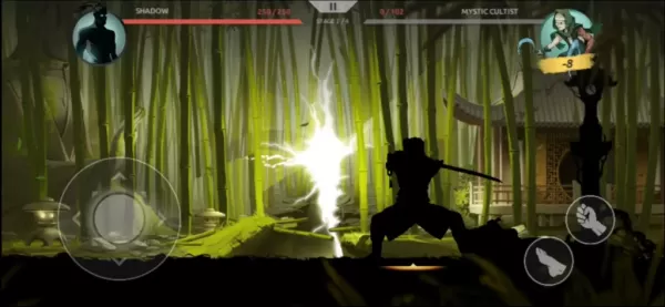 Shadow Fighter: Fighting Games
