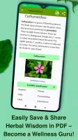 Medicinal Plants & Herbs Guide