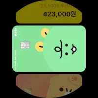 카카오페이