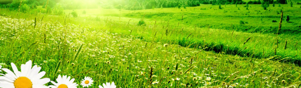 Retailio Retailer B2B Platform