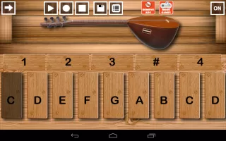 Baglama Pro