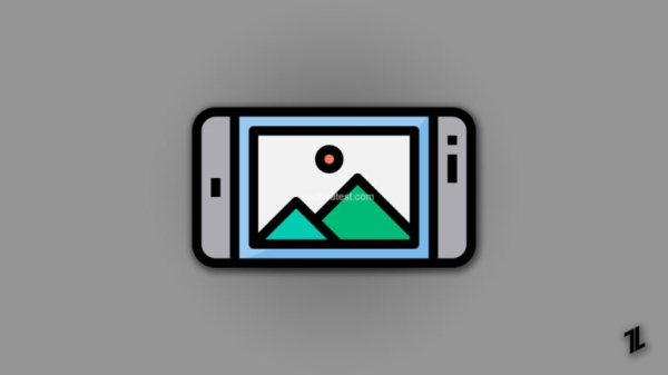 Thermal scanner camera VR