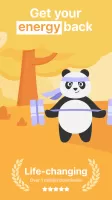 Brainbuddy