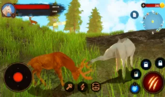The Horse