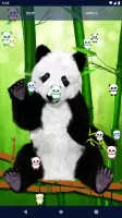 Panda Kawaii Live Wallpaper