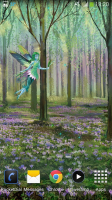 Fairy Party