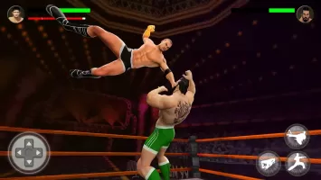 PRO Wrestling Fighting Game