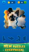 Hex Block Jigsaw Puzzle