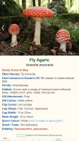 Shroomify