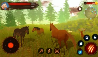 The Horse