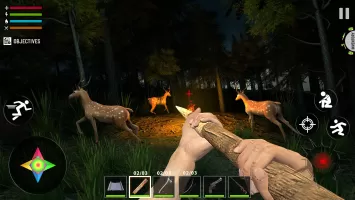 Raft Survival Forest 2