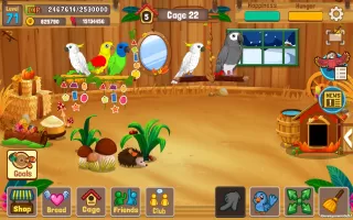 Bird Land: Pet Shop Bird Games