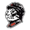 Chairman Meow
