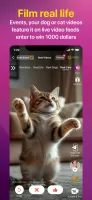 Lit.it Short Videos & Rewards