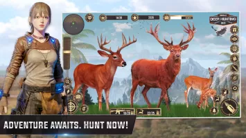 Jungle Deer Hunting Games 3D