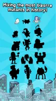 Human Evolution