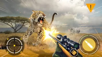 Deer Hunting