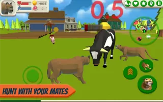 Cougar Simulator: Big Cats