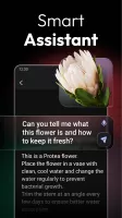 ChatOn