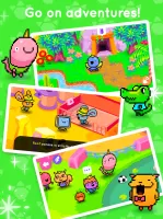 Pakka Pets Village