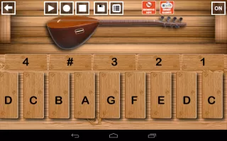 Baglama Pro