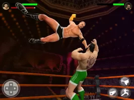 PRO Wrestling Fighting Game