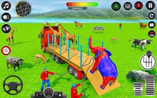 Animal Transports Truck Games