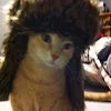 Тэйлер Джонсон