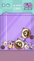 Capy Merge: Animal Drop Puzzle