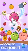 Fruit Drop Master