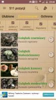 Atlas grzybów