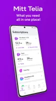 Mitt Telia