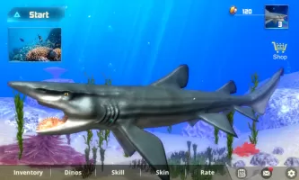 Helicoprion Simulator