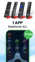 Universal TV Remote Control