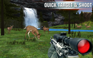 Deer Hunter