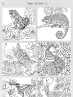 Garden Coloring Book