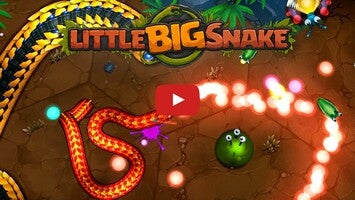 Little Big Snake Gameplay Android