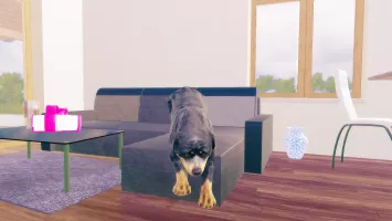 Rottweiler Dog Simulator