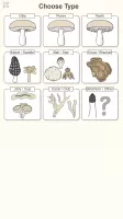 Shroomify