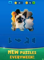 Hex Block Jigsaw Puzzle