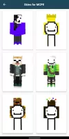 Dream Skins for Minecraft PE
