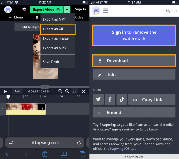 How to Make a GIF from  TikTok Video？