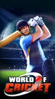 World of Cricket :Championship