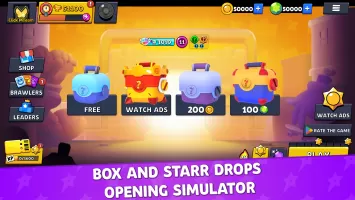 Brawl Box Stars Simulator