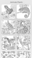 Garden Coloring Book