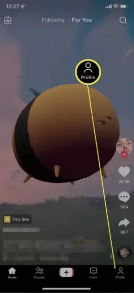 How to See Who shared Your TikTok Videos?