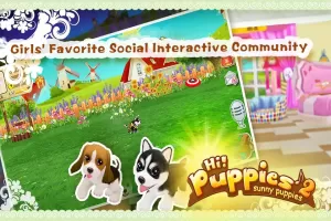 Hi! Puppies2