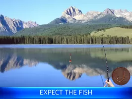 Fish rain: sport fishing