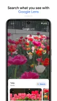 Google Photos